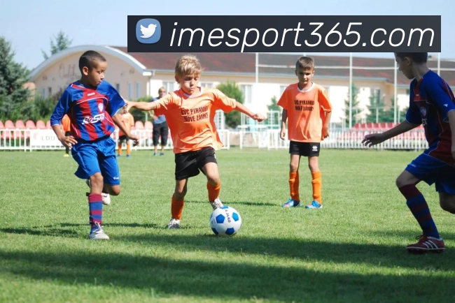 App功能展示图