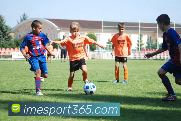 IM电竞APP 封面图