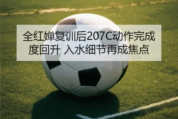 全红婵复训后207C动作完成度回升 入水细节再成焦点